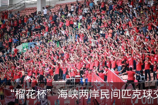 “榴花杯”海峡两岸民间匹克球交流赛在云南省玉溪开赛