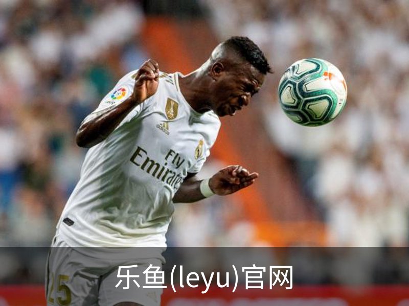 乐鱼(leyu)官网简介