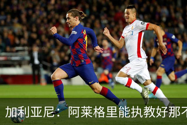 加利亚尼：阿莱格里能执教好那不勒斯，他会根据队内球员制定战术